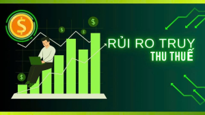 BÁO CÁO TÀI CHÍNH VÀ NHỮNG RỦI RO DẪN ĐẾN TRUY THU THUẾ